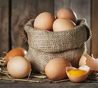 Image result for Photos of Eggs