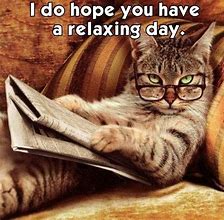 Image result for Cat Relaxing Meme