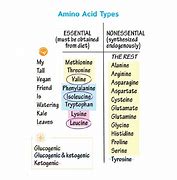 Image result for Less Common Amino Acids