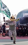 Image result for Sac State Mascot