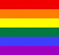 Image result for LGBT Flag Banner