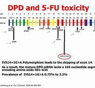 Image result for 5 Floourau Toxicity DMD Exons