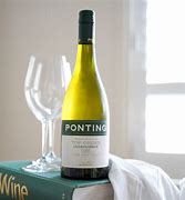 Image result for ponting.pw