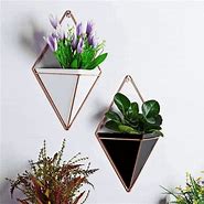 Image result for Flower and Plant Wall Hanging
