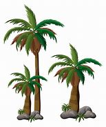 Image result for Palm Tree Vector Art