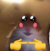 Image result for Hamster On FaceTime Meme