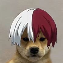 Image result for Dog Meme Icon