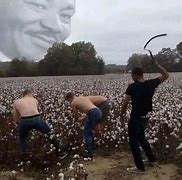 Image result for Meme of Chain WIP Picking Cotton