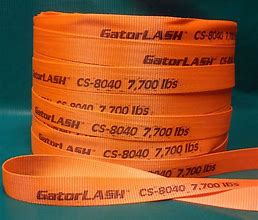 Image result for Webbing Straps with Alligator Clamps