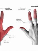 Image result for Thumb Numbness