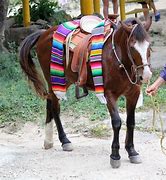 Image result for Mexican Horse Breeds Women