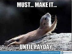 Image result for Payday Animal Memes