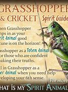 Image result for Cricket Symbolism