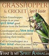Image result for Cricket in the House Good Luck