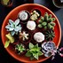 Image result for Flowering Cactus Types