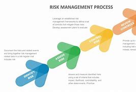 Image result for Risk Management Process Example