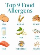 Image result for Big 9 Allergens