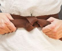 Image result for Brown Belt Karate
