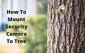 Image result for Mounting Security Camera to Tree