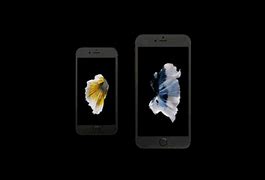Image result for iPhones 2017 and 2018 and 2019