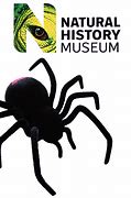 Image result for National History Museum London