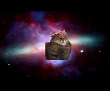 Image result for Shooting Star Cat Meme