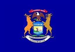 Image result for Michogna State Logo