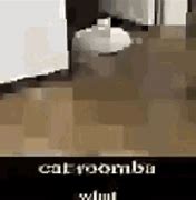 Image result for Floating Cat Meme