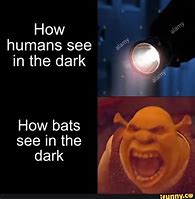 Image result for Taxidermy Bat Meme