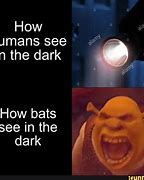 Image result for Bat Family Memes