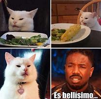 Image result for Memes De Gatos Graciosos