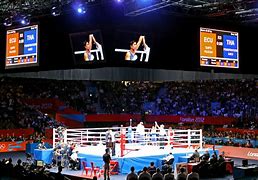 Image result for WWE Boxing