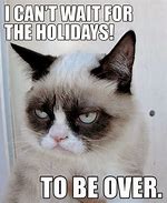 Image result for Grumpy Cat Wednesday Meme