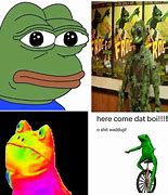 Image result for Frog Meme Guy