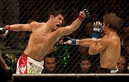 Image result for UFC Title Fights