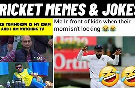 Image result for Jokes About Crickets