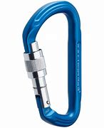 Image result for Screw Lock Carabiner