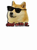 Image result for Deal with It Dog Meme