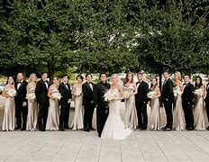 Image result for Champagne Bridal Party