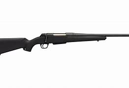 Image result for .30-06 Springfield Hunting Rifles
