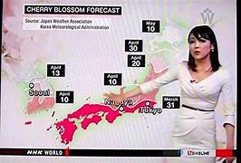 Image result for NHK World Weather Girl