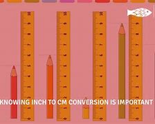 Image result for 26 Inches to Cm