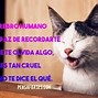 Image result for Frases Chistosas Cortas