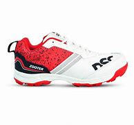 Image result for DSC Zooter Cricket Shoes