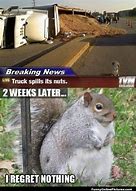 Image result for Squirrel Moment Meme