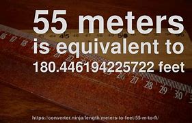 Image result for 55 in Meters