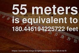 Image result for 1 55 M in Feet