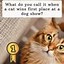 Image result for cats pun