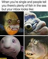 Image result for fish meme 2023