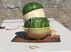 Image result for Old Watermelon Exploding